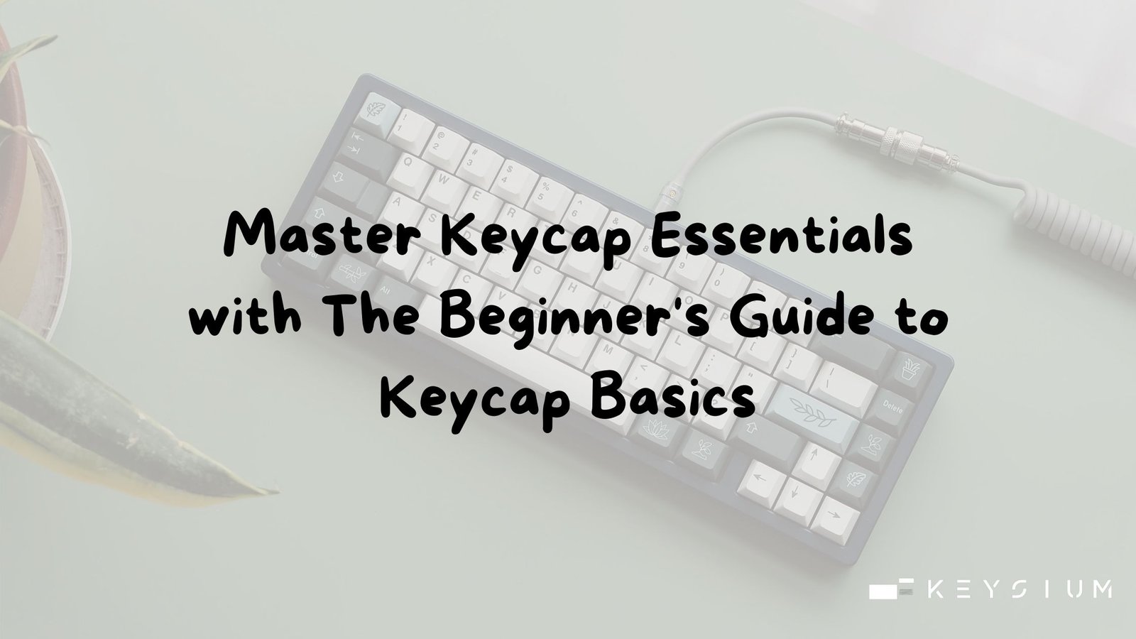 Master Keycap Essentials with The Beginner’s Guide to Keycap Basics