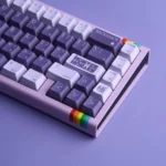 Hunter x Hunter Keycaps Set Anime Japanese Purple Black PBT